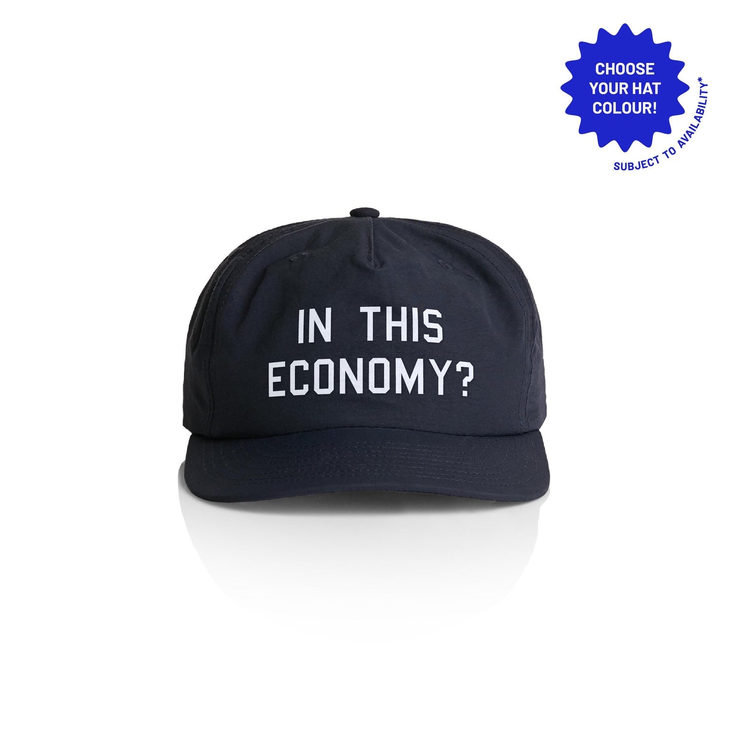In This Economy? Recycled Nylon Cap - Funny Millennial Hat