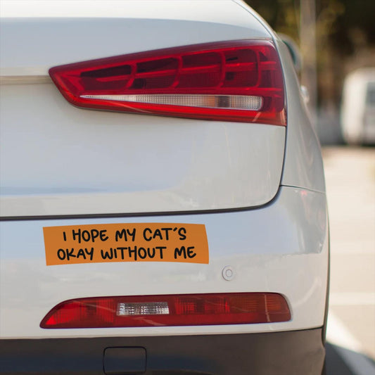 Funny Anxious Cat Parent Bumper Sticker: I Hope My Cat's Okay